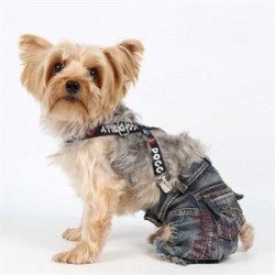 Doggy Dolly Askılı Kot Köpek Pantolonu Small Doggy Dolly Askılı Kot Köpek Pantolonu Small