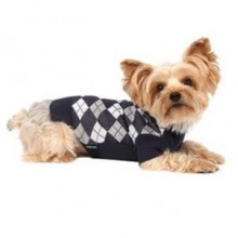 Doggy Dolly Baklava Desen Köpek Kazağı Small