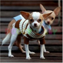 Doggy Dolly Boğazlı Köpek Kazağı Bej-Kahve XL