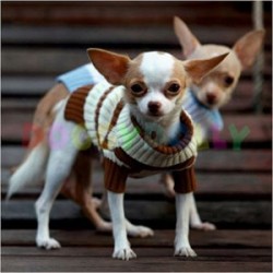 Doggy Dolly Boğazlı Köpek Kazağı Bej-Kahve Large