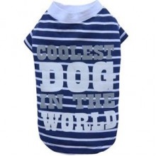 Doggy Dolly Coolest Dog Köpek Tişörtü Mavi 2XL