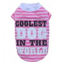 Doggy Dolly Coolest Dog Köpek Tişörtü Pembe XS Doggy Dolly Coolest Dog Köpek Tişörtü Pembe XS