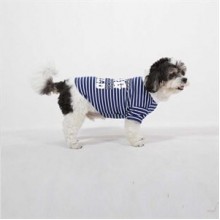 Doggy Dolly Coolest Dog Orta Boy Köpek Tişörtü Mavi Medium