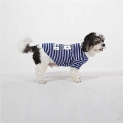 Doggy Dolly Coolest Dog Orta Boy Köpek Tişörtü Mavi Medium Doggy Dolly Coolest Dog Orta Boy Köpek Tişörtü Mavi Medium