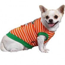 Doggy Dolly Korsan Desenli Köpek Tişörtü Turuncu Small