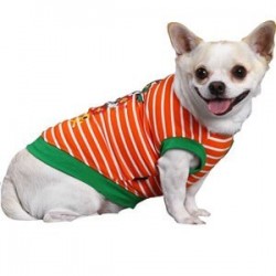 Doggy Dolly Korsan Desenli Köpek Tişörtü Turuncu XL Doggy Dolly Korsan Desenli Köpek Tişörtü Turuncu XL