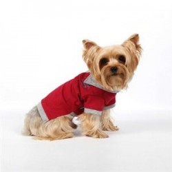 Doggy Dolly Polo Köpek Tişörtü Kırmızı XS Doggy Dolly Polo Köpek Tişörtü Kırmızı XS