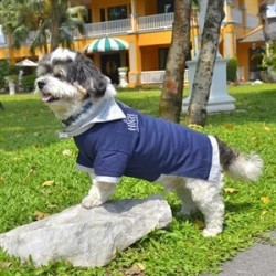 Doggy Dolly Polo Köpek Tişörtü Lacivert XS Doggy Dolly Polo Köpek Tişörtü Lacivert XS