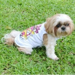 Doggy Dolly Surf Dog Köpek Tişörtü Beyaz Small Doggy Dolly Surf Dog Köpek Tişörtü Beyaz Small