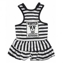 Doggy Dolly Wanted Askılı Çizgili Köpek Elbisesi 2XL