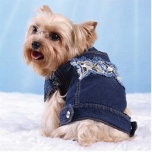 DoggyDolly Rock Jean Kot Köpek Ceketi XL