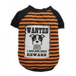 DoggyDolly Wanted Turuncu Köpek Tişörtü Small DoggyDolly Wanted Turuncu Köpek Tişörtü Small