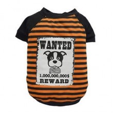 DoggyDolly Wanted Turuncu Köpek Tişörtü 2XL