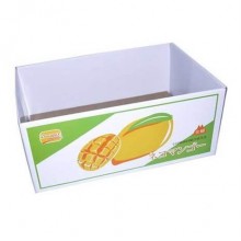 Dougez Karton Tırmalama Ve Yatak