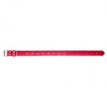 Dr Sacchi Deri Metal İşlemeli Köpek Boyun Tasması 1.5x35cm Kırmızı