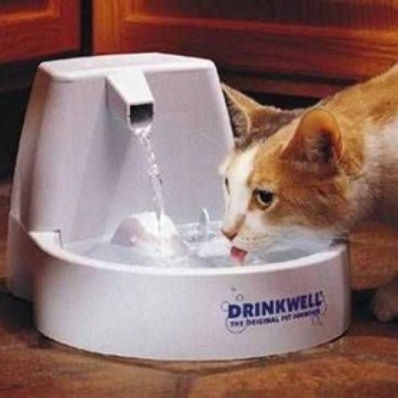 Drinkwell Orginal Su Pınarı 1.5 Litre