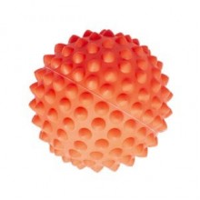 Duvo+ Catch Ball Hard Köpek Oyun Topu