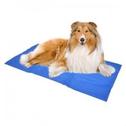 Duvo+ Cool Mat Soğutucu Paspas 81x96 Cm Duvo+ Cool Mat Soğutucu Paspas 81x96 Cm