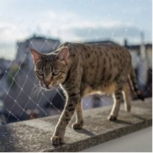 Duvo+ Kedi Güvenlik Ağı 300x200cm