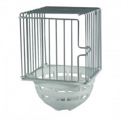 Duvo+ Kuş Yavruluğu Duvo+ Kuş Yavruluğu