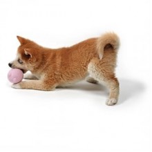Duvo+ Tumble Toy Balu Kauçuk Köpek Oyuncağı Pembe