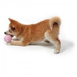 Duvo+ Tumble Toy Balu Kauçuk Köpek Oyuncağı Sarı Duvo+ Tumble Toy Balu Kauçuk Köpek Oyuncağı Sarı