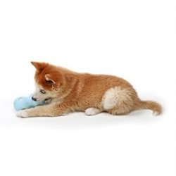 Duvo+ Water Chew Dondurulabilir Köpek Oyuncağı Sarı Duvo+ Water Chew Dondurulabilir Köpek Oyuncağı Sarı