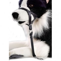 Duvo+ Yürüyüş Kontrol Köpek Eğitim Tasması 34 cm