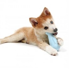 Duvo+Petit Treat Toy Chico Köpek Ödül Oyuncağı Sarı