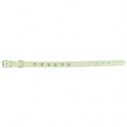 Eastland Deri Metal İşlemeli Köpek Boyun Tasması 1.3x31cm Krem