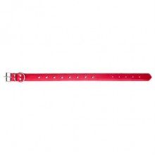 Eastland Deri Metal İşlemeli Köpek Boyun Tasması 2.5x55cm Kırmızı