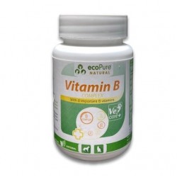 Ecopure Kedi ve Köpekler İçin Vitamin B Complex 40 gr