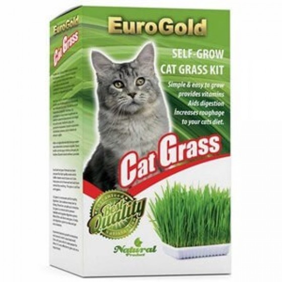 Euro Gold Cat Grass Kedi Çimi