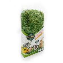 Eurogold İnce Kıyım Kemirgen Yeşil Yonca