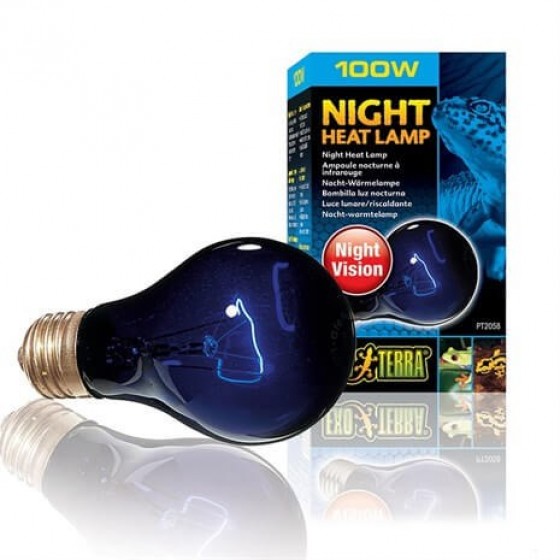 Exo Terra Gece Lambası Night Heat 75Watt