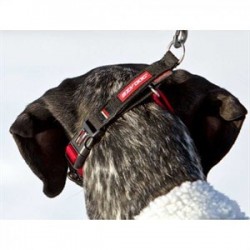 EzyDog Checkmate Kilitli Köpek Terbiye Boyun Tasması Small Siyah EzyDog Checkmate Kilitli Köpek Terbiye Boyun Tasması Small Siyah