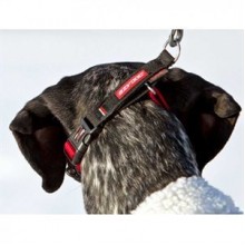 EzyDog Checkmate Kilitli Köpek Terbiye Boyun Tasması X Large Mavi