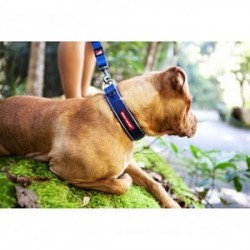 EzyDog Neo Classic Köpek Boyun Tasması XSmall Bubble Gum EzyDog Neo Classic Köpek Boyun Tasması XSmall Bubble Gum
