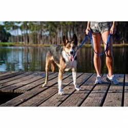 EzyDog Soft Trainer Köpek Gezdirme Kayışı 180 Cm Mavi EzyDog Soft Trainer Köpek Gezdirme Kayışı 180 Cm Mavi