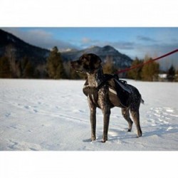 Ezydog Summit Bag Tasmalı Köpek Sırt Çantası LARGE Ezydog Summit Bag Tasmalı Köpek Sırt Çantası LARGE