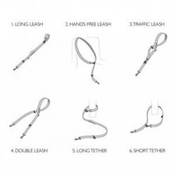 EzyDog Vario 6 Lite Çok Yönlü Köpek Gezdirme Kayışı Siyah