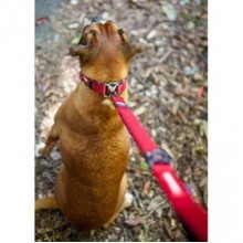 EzyDog Zero Shock Şok Absorbe Edici Köpek Kayışı 65 Cm Kırmızı