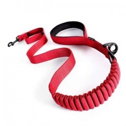 EzyDog Zero Shock Şok Absorbe Edici Köpek Kayışı 120 Cm Kırmızı EzyDog Zero Shock Şok Absorbe Edici Köpek Kayışı 120 Cm Kırmızı