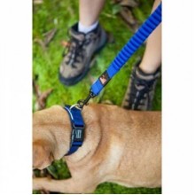EzyDog Zero Shock Şok Absorbe Edici Köpek Kayışı 120 Cm Mavi