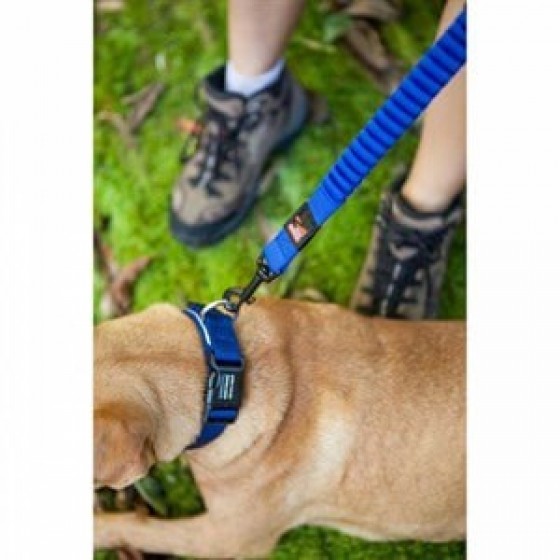 EzyDog Zero Shock Şok Absorbe Edici Köpek Kayışı 120 Cm Mavi