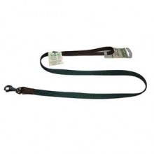 Ferplast Accademia Köpek Gezdirme Tasması 1.5 x 100 cm Yeşil