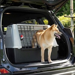 Ferplast Atlas Car 80 Köpek Taşıma Sepeti 80 x 49 x 60 Cm Ferplast Atlas Car 80 Köpek Taşıma Sepeti 80 x 49 x 60 Cm