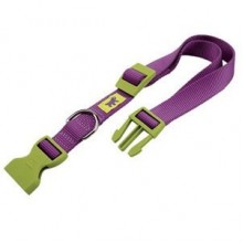 Ferplast Club Boyun Köpek Tasması 20 mm X 56 Cm Mor