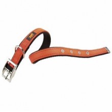 Ferplast Dual Köpek Boyun Tasması 25 mm X 45 Cm Turuncu