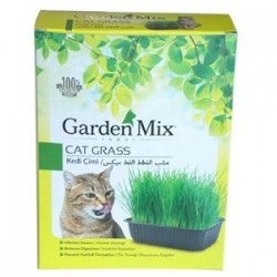 Garden Mix Kedi Çimi Garden Mix Kedi Çimi